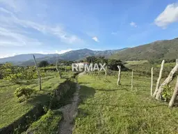 Vista 6