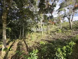 Vista 7