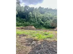 View 1