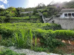 Vista 1