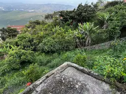 Vista 11