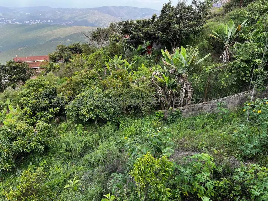 Terreno (Finca) en Venta en El Junquito, Distrito Metropolitano - 13