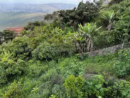 Vista 13
