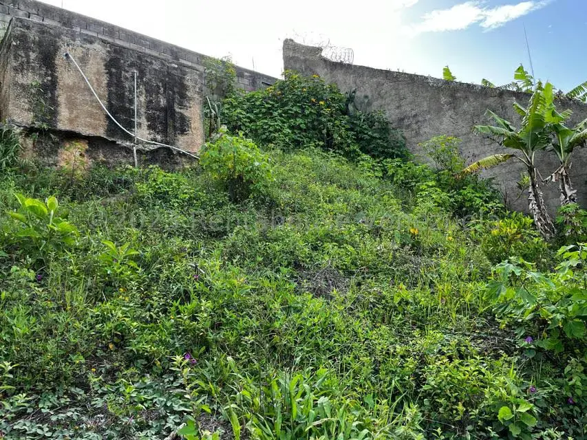 Terreno (Finca) en Venta en El Junquito, Distrito Metropolitano - 15
