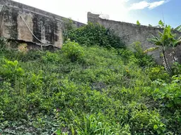 Vista 15