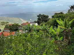 Vista 16