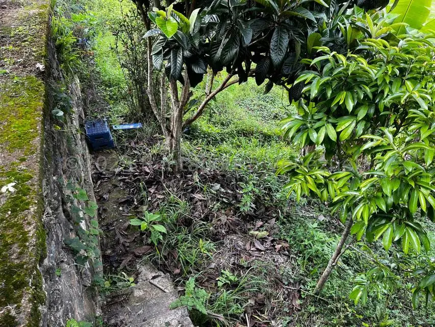 Terreno (Finca) en Venta en El Junquito, Distrito Metropolitano - 17