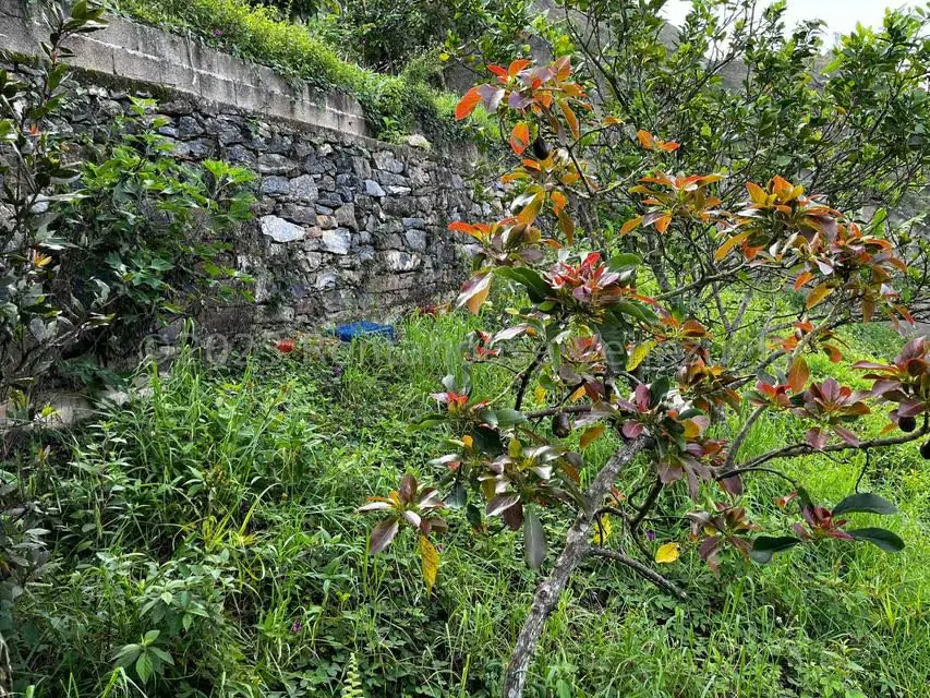 Terreno (Finca) en Venta en El Junquito, Distrito Metropolitano - 18