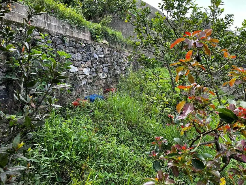 Terreno (Finca) en Venta en El Junquito, Distrito Metropolitano - 19