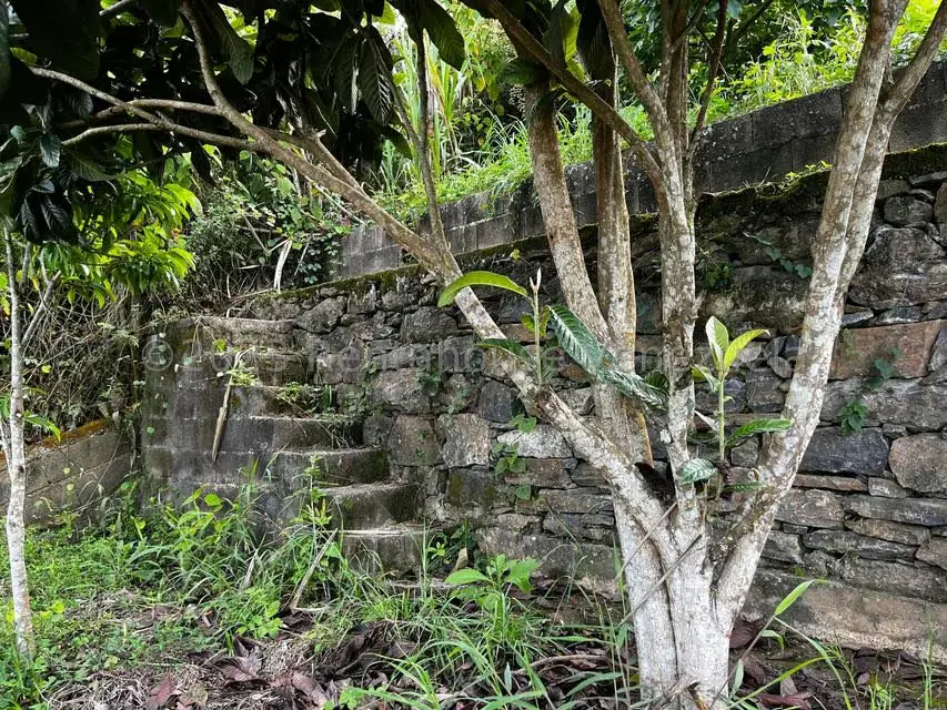 Terreno (Finca) en Venta en El Junquito, Distrito Metropolitano - 20