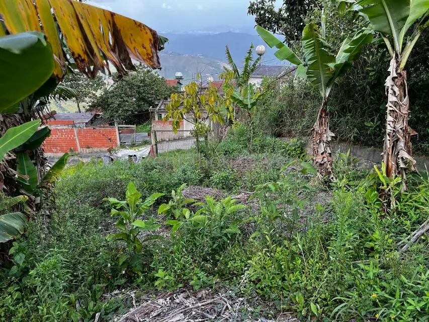 Terreno (Finca) en Venta en El Junquito, Distrito Metropolitano - 22