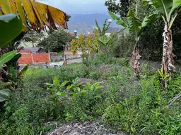 Vista 22