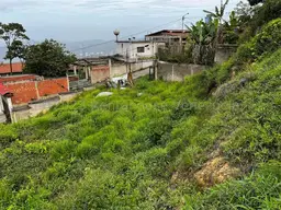 Vista 24