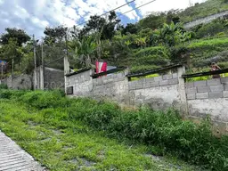 Vista 26