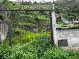 Vista 27