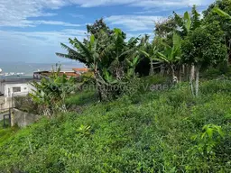 Vista 5