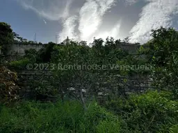 Vista 6