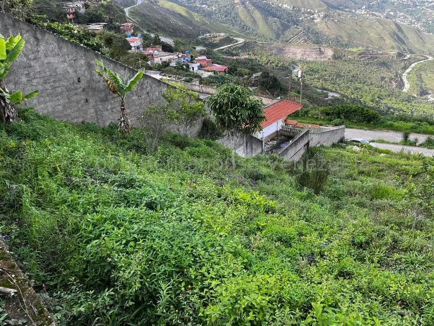 Terreno (Finca) en Venta en El Junquito, Distrito Metropolitano - 7
