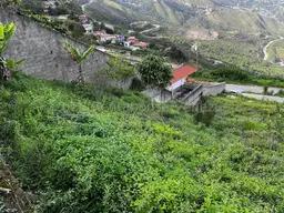Vista 7