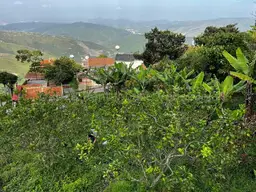 Vista 8