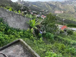 Vista 10