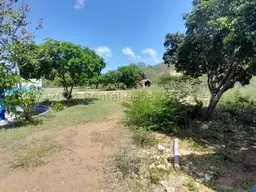 Vista 5