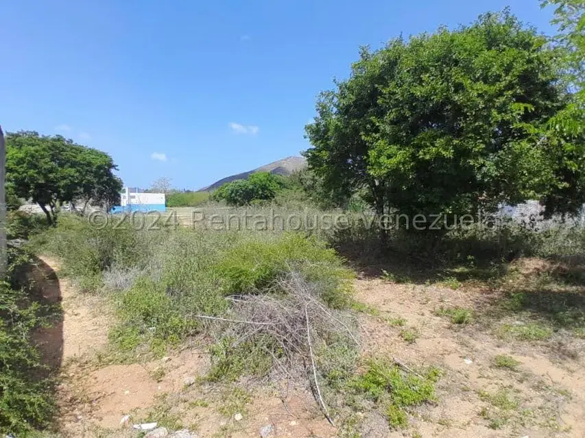 Terreno (Residencial) en Venta en Altagracia, Nueva Esparta - 9