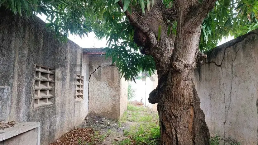 Local comercial en alquiler con proyecto para Colegio