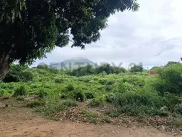 Vista 1