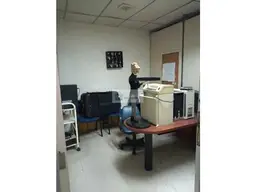 Vista 20