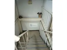 Vista 29