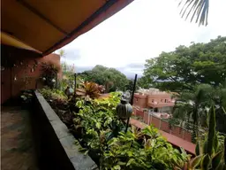 Vista 25