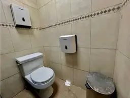 Vista 19