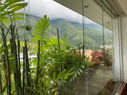 View 14