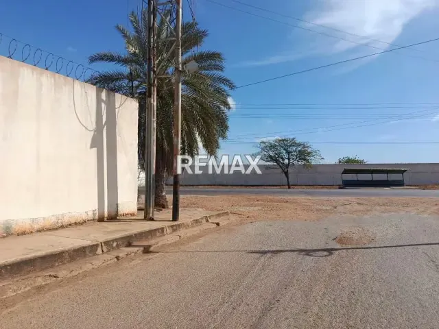 TERRENO POTENCIAL PARA INVERSIÓN, EN GUATACARAL, EL ESPINAL - 11