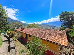 Vista 4
