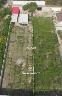 View 2