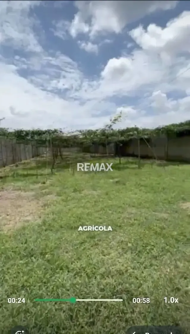 Terreno - 3