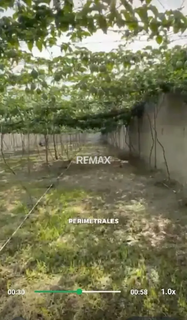 Terreno - 4