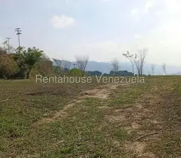 Vista 3