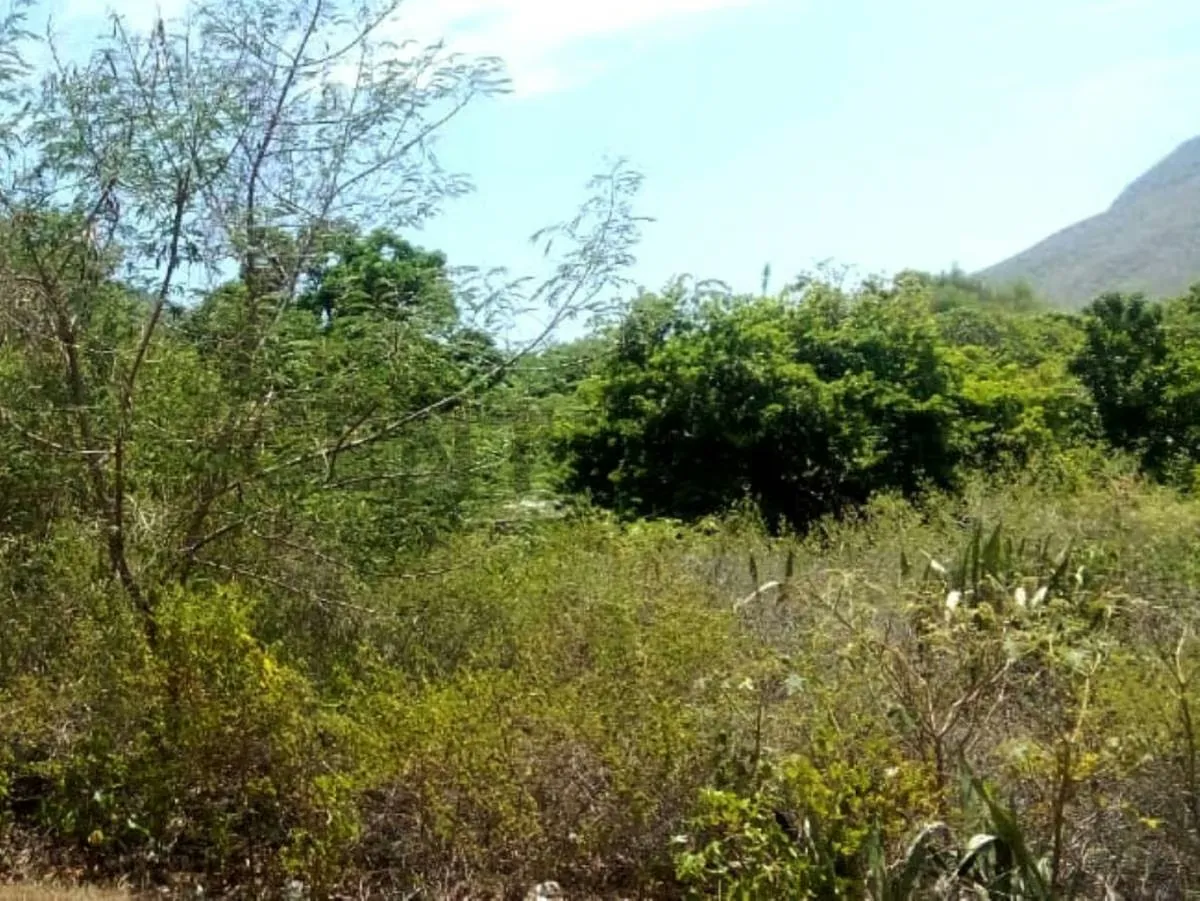 TERRENO EN EL SALADO ISLA DE MARGARITA VENEZUELA - 3