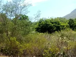 Vista 3