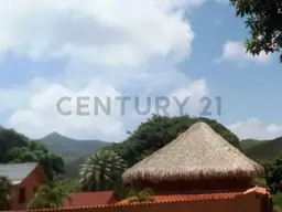 Vista 4