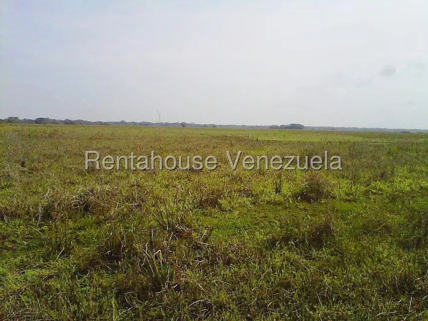 Terreno (Finca) en Venta en Arismendi, Barinas - 11