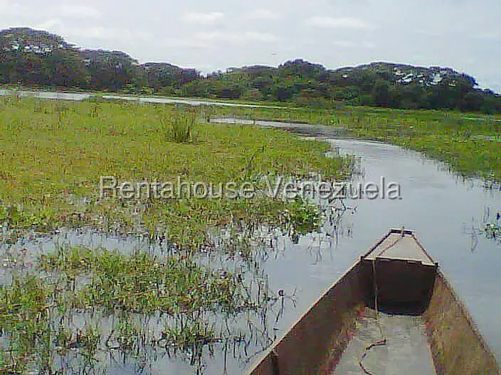 Terreno (Finca) en Venta en Arismendi, Barinas - 13