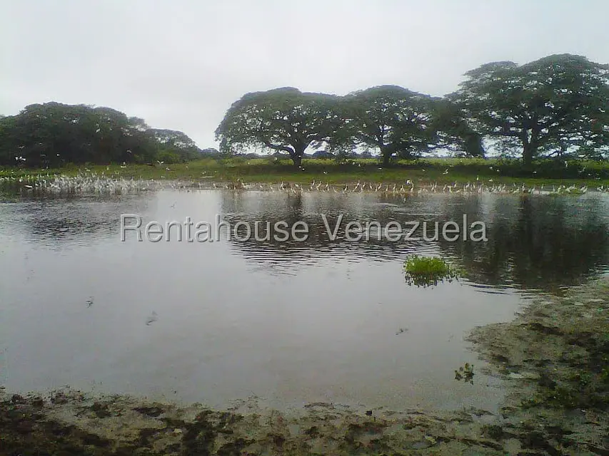 Terreno (Finca) en Venta en Arismendi, Barinas - 14