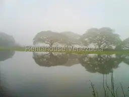 View 15