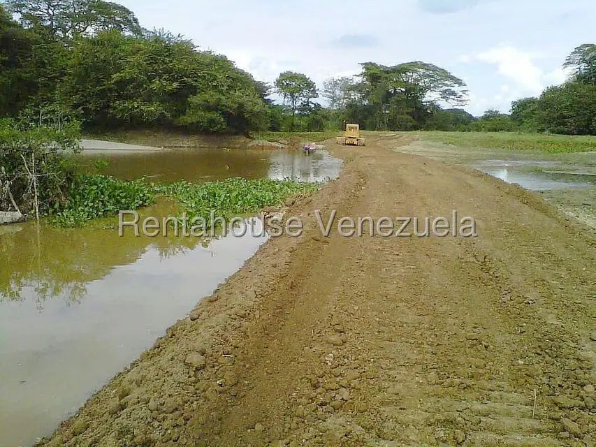 Terreno (Finca) en Venta en Arismendi, Barinas - 2