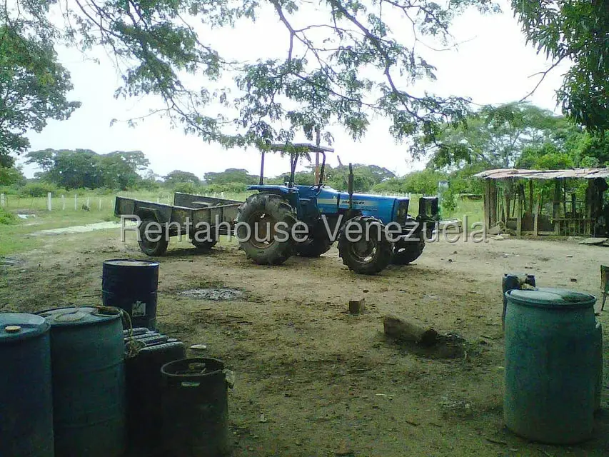 Terreno (Finca) en Venta en Arismendi, Barinas - 4