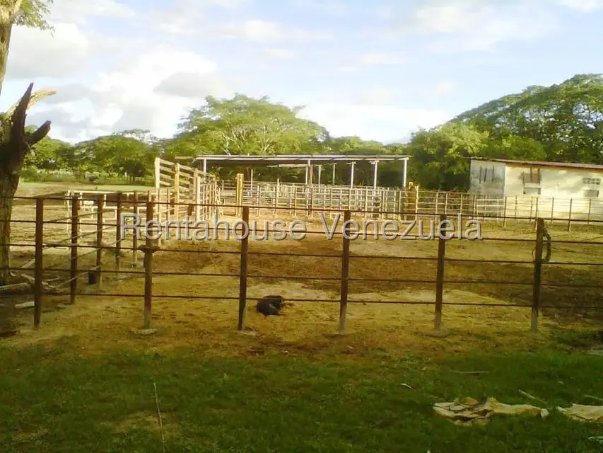 Terreno (Finca) en Venta en Arismendi, Barinas - 7